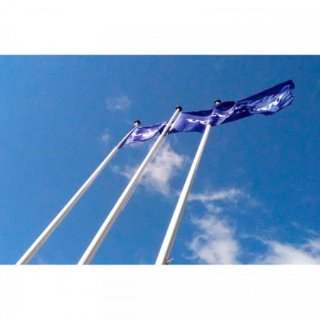 Mástil de Aluminio | 6 metros