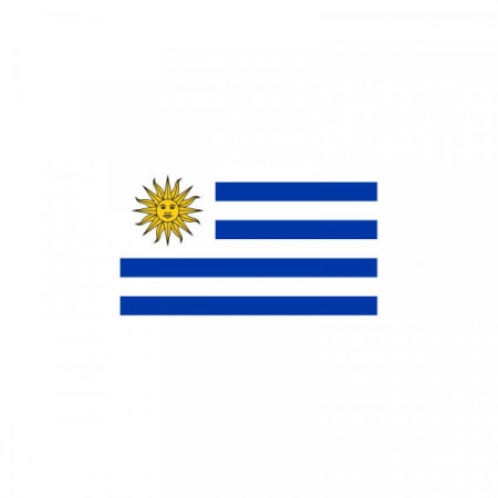 Bandera Uruguay